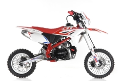 JJM PITBIKE Y125 DUAL PURPOSE 17/14 ČERVENÁ