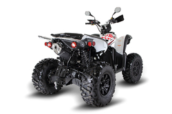 TARGET 600 4x4